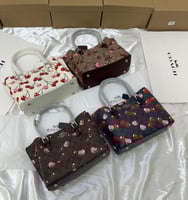 شنطة كوتش مولي تشيري