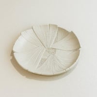 تقديمة مميزة