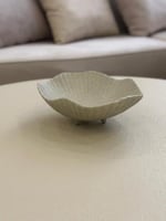 تقديمة مميزة