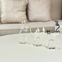 عبارات ترحيبة