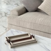 صينية تقديم