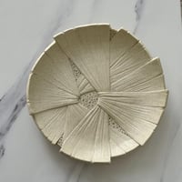 تقديمة مميزة