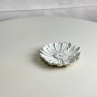 تقديمة مميزة