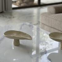 تقديمة مميزة