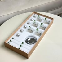 طقم فناجيل وبيالات