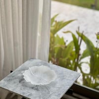 صحن تقديم زجاج ثلجي