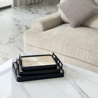 صينية تقديم معدن مميزة