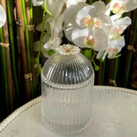 علبة زجاج انيقة