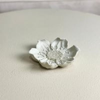 تقديمة مميزة