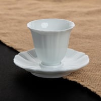 فنجال وكوستر