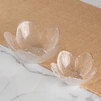 تقديمة زجاج