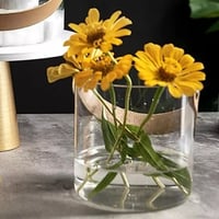 فازة اكريلك انيقة