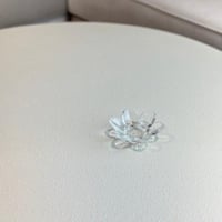 تقديمة صغيرة