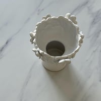 تقديمة سيراميك