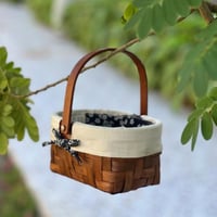 سلة خزف طبيعي