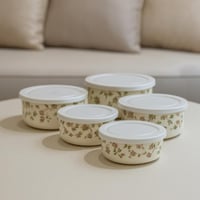 طقم حافظات طعام