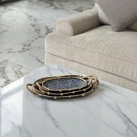 صينية تقديم معدن مميزة