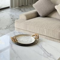 صينية تقديم معدن مميزة