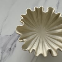 تقديمة مميزة