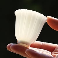 فنجال وكوستر