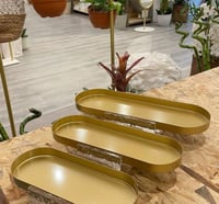 تقديمة ذهبية