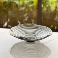 تقديمة زجاج