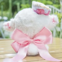 ميدالية نومي - Nommi