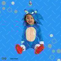 زي تنكري سونيك