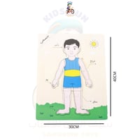 بازل جسم الإنسان - ولد