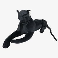 نمر اسود درزن