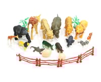 حيوانات علبة