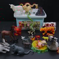 درزن صندوق حيوانات