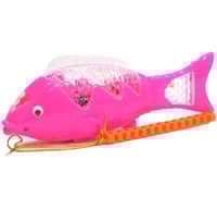 درزن سمكة مضيئه