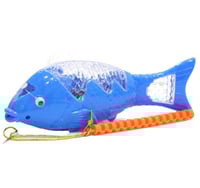 درزن سمكة مضيئه