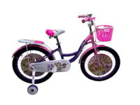 دراجة مقاس 20 انش