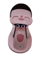 سيارة عجيبة