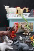 صندوق حيوانات