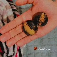 كستناء أبو فروة تركي (خيشة كاملة) 4 كيلو فاخر vip...