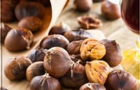 كستناء أبو فروة تركي 1 كيلو فاخر Vip درجة أولى أجو...