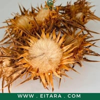 بذور حليب الشوك (بذور حرشيف بري)