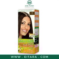 غارنييه صبغة بني 4