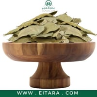 ورق غار سوري