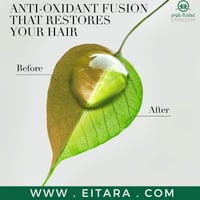 شامبو بخلاصة ثمرة القهوة العربية من هيربل ايسنسز 4...