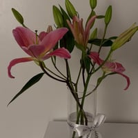 فازة ليليوم (يُلزم الطلب قبل بيوم)