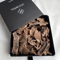 كمبودي كوكون