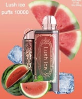 سحبة برو مود 10000 موش PROMOOD VISION 10000 PUFFS