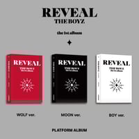 THE BOYZ - 1ST ALBUM REVEAL (Platform Ver) (WOLF V...