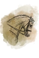 كولومبيا أروقيت - محمصة مصنع القهوة