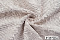 A11017-005
