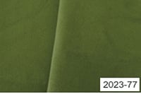 N02023-077